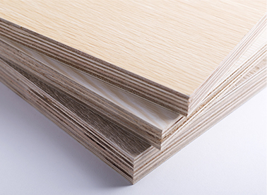 西林木業(yè) 點(diǎn)滴關(guān)愛(ài)，從我做起，共筑綠色家園